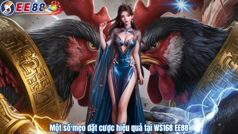 Một số mẹo đặt cược hiệu quả tại WS168 EE88