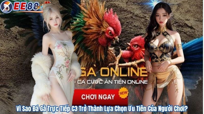 Vì Sao Đá Gà Trực Tiếp C3 Trở Thành Lựa Chọn Ưu Tiên Của Người Chơi?
